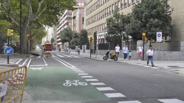 arril bici del paseo Sagasta arril bici del paseo Sagasta