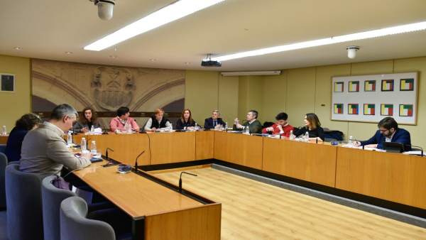 Comparecencia turismo Parlamento Comparecencia turismo Parlamento