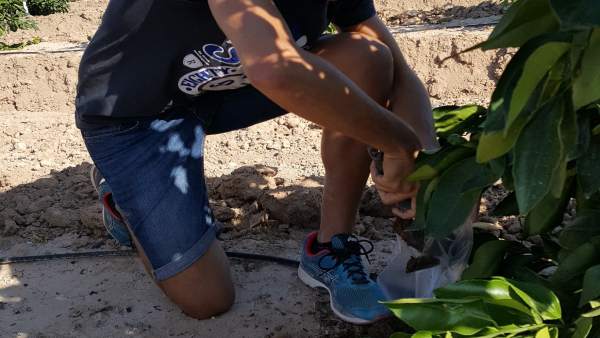Uno de los investigadores analiza el uso del agua marina desalinizada Uno de los investigadores analiza el uso del agua marina desalinizada