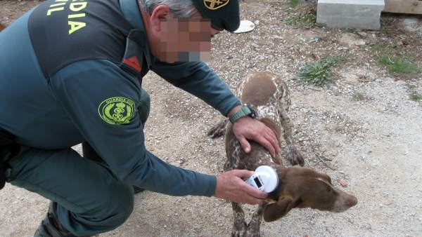 Un agente de la Guardia Civil posa con el perro recuperado Un agente de la Guardia Civil posa con el perro recuperado