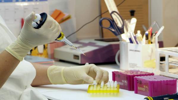 Educació destina 2,6 milions per a atraure i retindre el talent investigador a la Comunitat Valenciana Educació destina 2,6 milions per a atraure i retindre el talent investigador a la Comunitat Valenciana