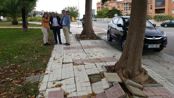 Acera de calle rota por las raíces de árbol en Torremolinos Plan Arbolado 2018 Acera de calle rota por las raíces de árbol en Torremolinos Plan Arbolado 2018