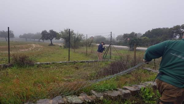 Trabajos de apertura y nuevo trazado de la Vereda del Salto de la Trocha Trabajos de apertura y nuevo trazado de la Vereda del Salto de la Trocha