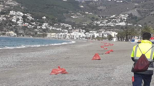 Tareas de limpieza en las playas de Almuñécar Tareas de limpieza en las playas de Almuñécar