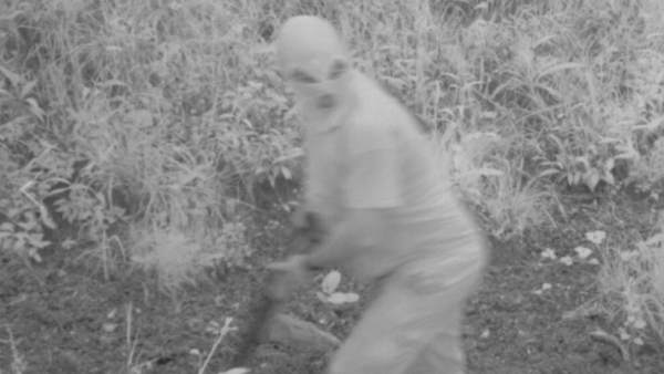 Un cazador furtivo en Asturias Un cazador furtivo en Asturias