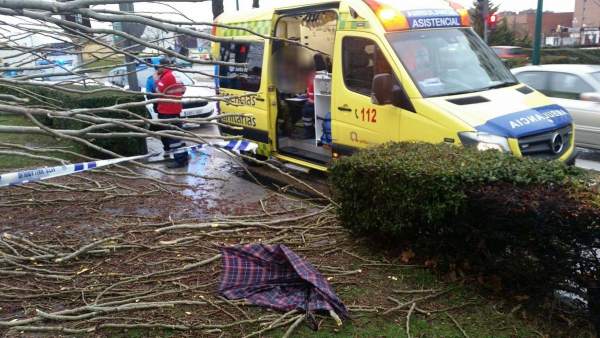 Sanitarios atienden al herido tras caer el árbol. Valladolid. A4-03-2018 Sanitarios atienden al herido tras caer el árbol. Valladolid. A4-03-2018