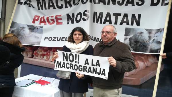Recogida de firmas contra la granja de cerdos de Pozuelo Recogida de firmas contra la granja de cerdos de Pozuelo