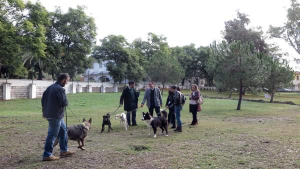 Parque canino marbella ocio perros can disfrute mascotas animales Parque canino marbella ocio perros can disfrute mascotas animales