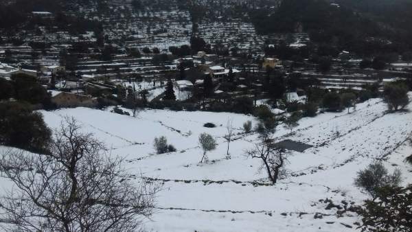 Nieve, Valldemossa, frío, nevar, invierno, tiempo, recurso Nieve, Valldemossa, frío, nevar, invierno, tiempo, recurso