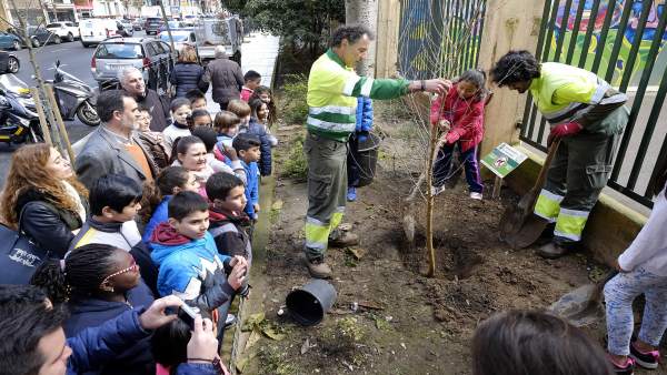 Día de los Bosques 2016 Día de los Bosques 2016