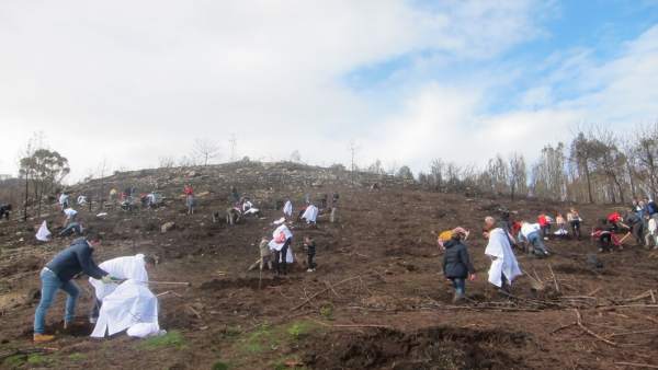 Campaña de reforestación de Abanca en el monte de Coruxo Campaña de reforestación de Abanca en el monte de Coruxo