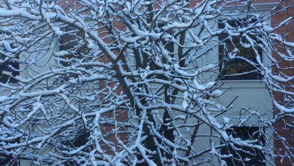 Nieve Nieve