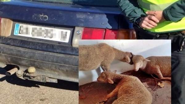 'La Guardia Civil Detiene A Dos Vecinos De Villanueva De La Serena Dedicados Al 'La Guardia Civil Detiene A Dos Vecinos De Villanueva De La Serena Dedicados Al