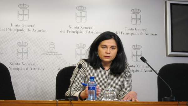 La diputada de Foro Asturias en la Junta General Carmen Fernández La diputada de Foro Asturias en la Junta General Carmen Fernández