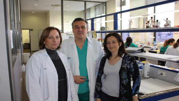 Los investigadores de la UPV que han participado en el desarrollo Los investigadores de la UPV que han participado en el desarrollo