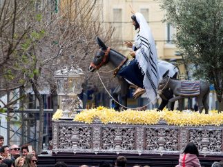 'La Borriquita' procesiona por Almería