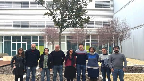Investigadores del ICMA para introducir material genético en las células Investigadores del ICMA para introducir material genético en las células