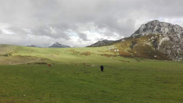 Entorno de los Lagos de Covadonga, turismo en Asturias Entorno de los Lagos de Covadonga, turismo en Asturias