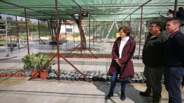 Amparo Pernichi visita los trabajos Amparo Pernichi visita los trabajos
