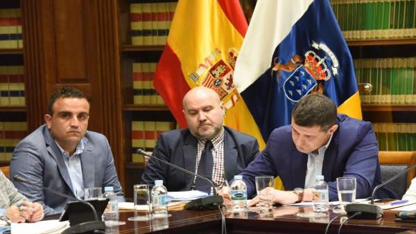 Comparecencia del presidente del CERMI en el Parlamento de Canarias Comparecencia del presidente del CERMI en el Parlamento de Canarias
