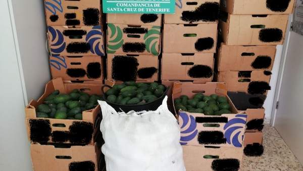 La Guardia Civil Investiga A Cuatro Personas Por El Robo De Más De 8.000 Kg De A La Guardia Civil Investiga A Cuatro Personas Por El Robo De Más De 8.000 Kg De A