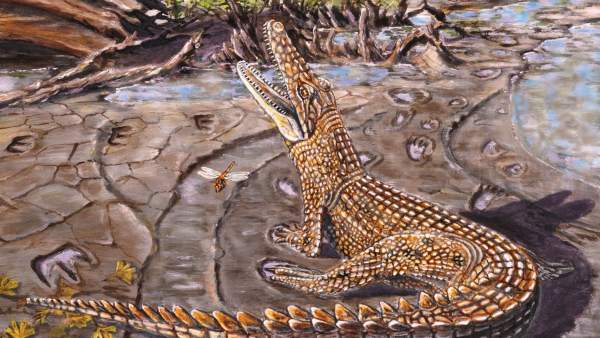 Cocodrilos prehistóricos Cocodrilos prehistóricos