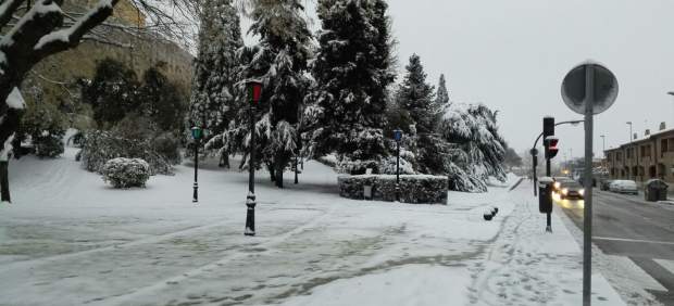 Nieve caída en Zamora