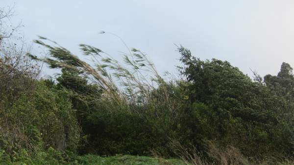 Rachas de Viento Rachas de Viento