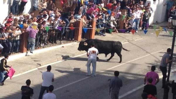 Encierro Del Toro Embolao En Vejer De La Frontera (Cádiz) Encierro Del Toro Embolao En Vejer De La Frontera (Cádiz)