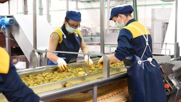 Trabajadoras Trabajadoras