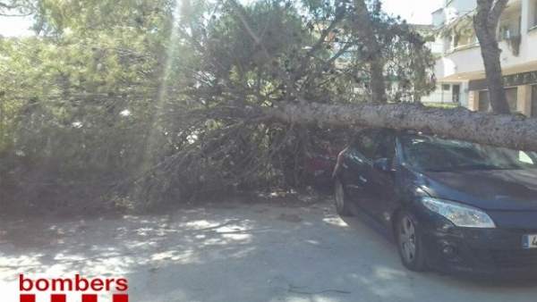 Retirada de un árbol caído sobre un coche aparcado en Salou (Tarragona) Retirada de un árbol caído sobre un coche aparcado en Salou (Tarragona)