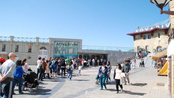 Aquarium de San Sebastián Aquarium de San Sebastián