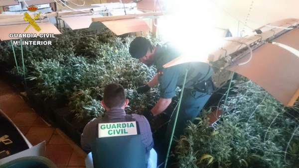Dos agentes en la incautación de la droga en Pedreguer Dos agentes en la incautación de la droga en Pedreguer