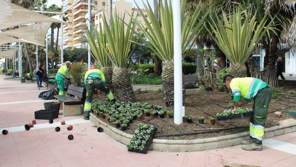 Zonas verdes en Estepona Zonas verdes en Estepona