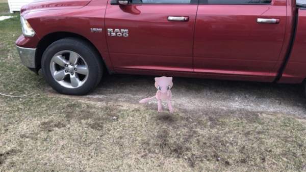 Mew Mew