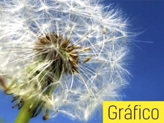 Alergia primaveral