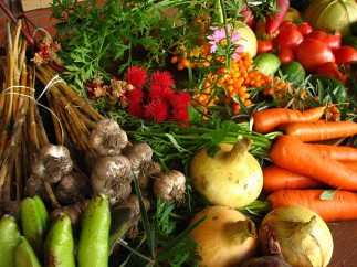 Vegetales y ornamentales provenientes de la agricultura sostenible