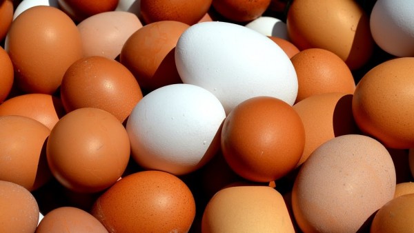 Huevos de gallina Huevos de gallina
