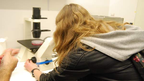Un total de 126.747 estudiantes de Euskadi recibirán becas de ... Un total de 126.747 estudiantes de Euskadi recibirán becas de ...