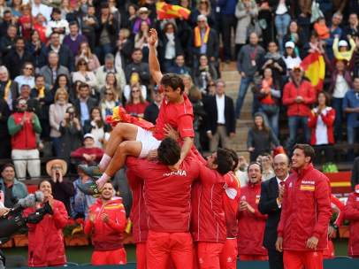 David Ferrer, Copa Davis
