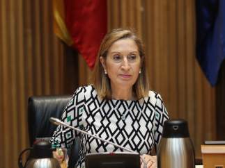 Ana Pastor, presidenta del Congreso