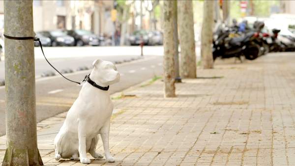 Figura de un perro abandonado de la campaña del Ayuntamiento de Barcelona Figura de un perro abandonado de la campaña del Ayuntamiento de Barcelona