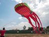 Pulpo volador