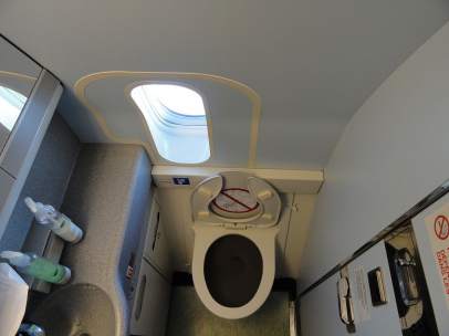 Baño de un avión