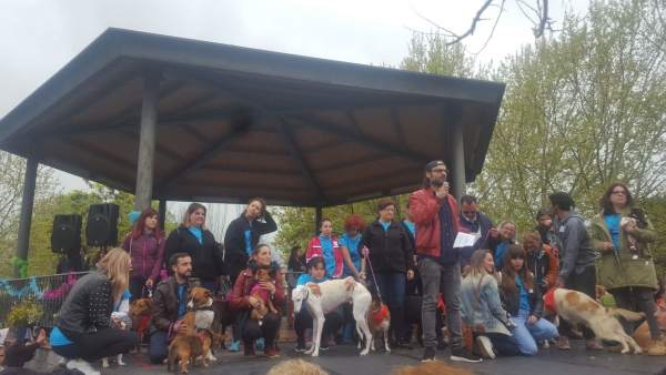 Defensores de los animalesen Mérida con perros abandonados Defensores de los animalesen Mérida con perros abandonados