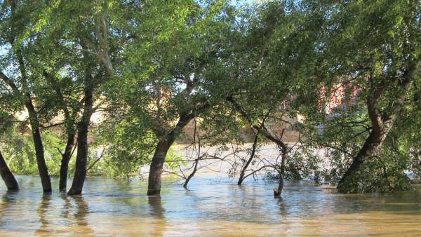 Crecida extraordinaria del río Ebro en abril de 2018 Crecida extraordinaria del río Ebro en abril de 2018