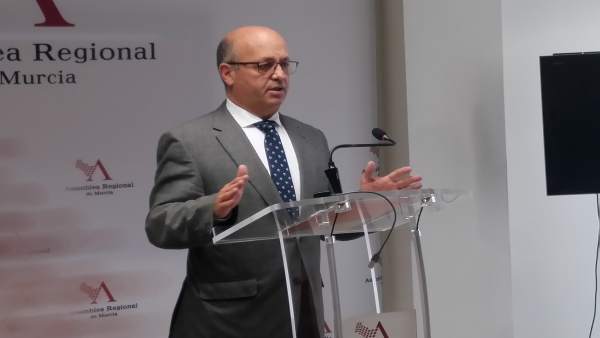 El diputado de Ciudadanos, Luis Fernández, en Asamblea El diputado de Ciudadanos, Luis Fernández, en Asamblea