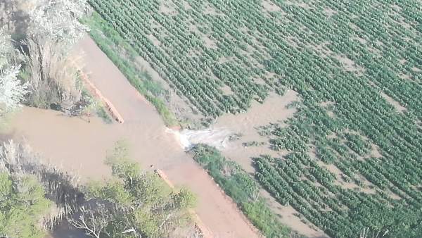 Mota de Quinto de Ebro, rota por la crecida del Ebro en abril de 2018 Mota de Quinto de Ebro, rota por la crecida del Ebro en abril de 2018