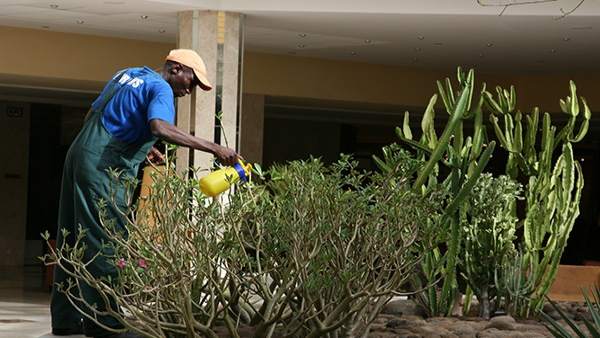 Trabajador extranjero Trabajador extranjero