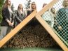 Un hotel para abejas